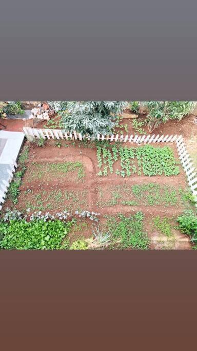 Saifarms Private Farmhouse Between Pune & Lonavala Nethersole Dam Extérieur photo