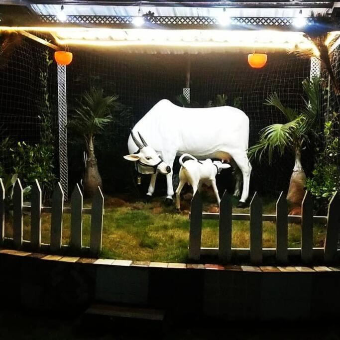 Saifarms Private Farmhouse Between Pune & Lonavala Nethersole Dam Extérieur photo