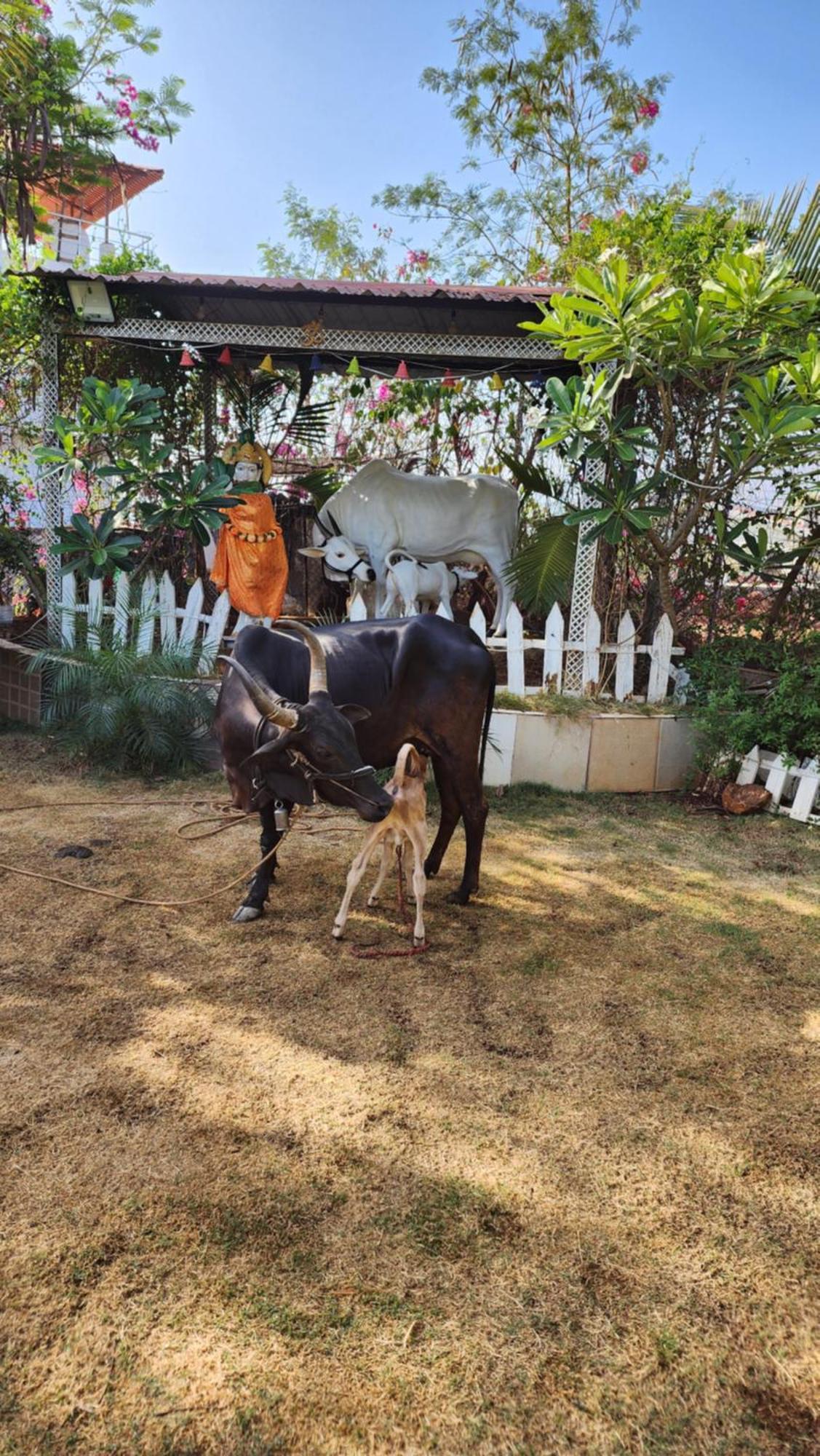 Saifarms Private Farmhouse Between Pune & Lonavala Nethersole Dam Extérieur photo